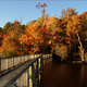 Illustration for article titled Shooting Challenge Fall Leaves Gallery 2